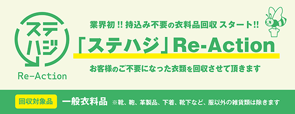 ステハジ re-action